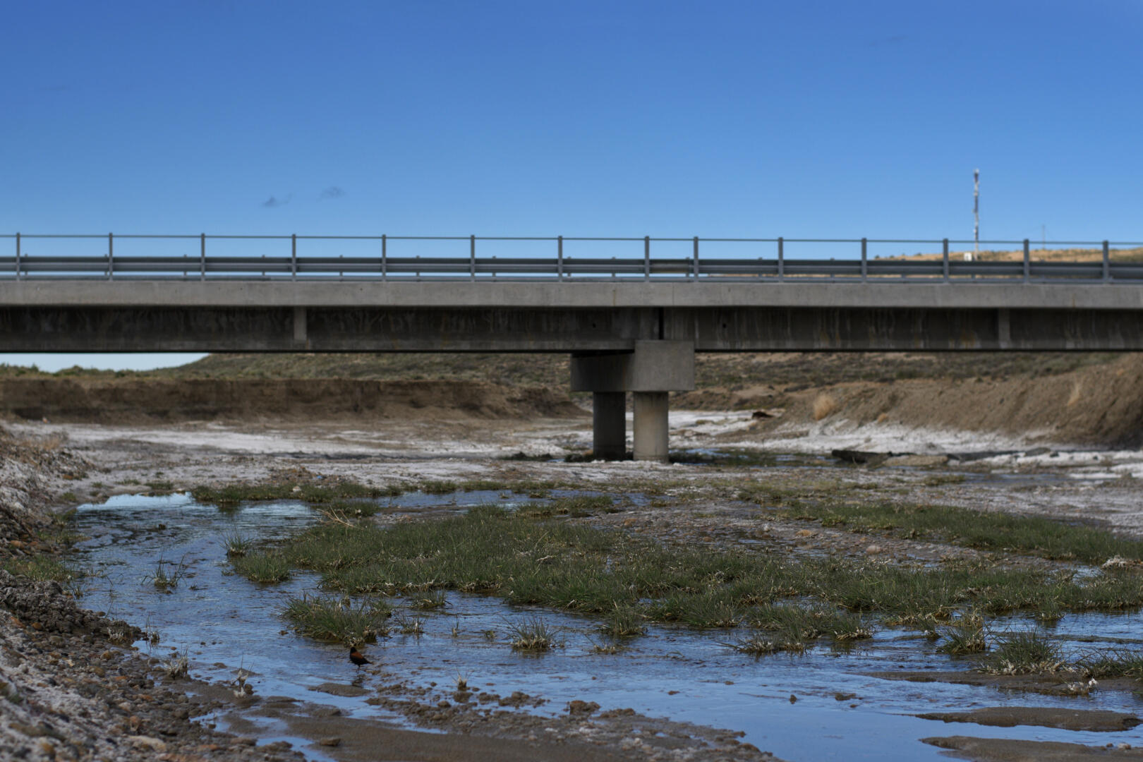 PuenteArroyo_DSC3333-01